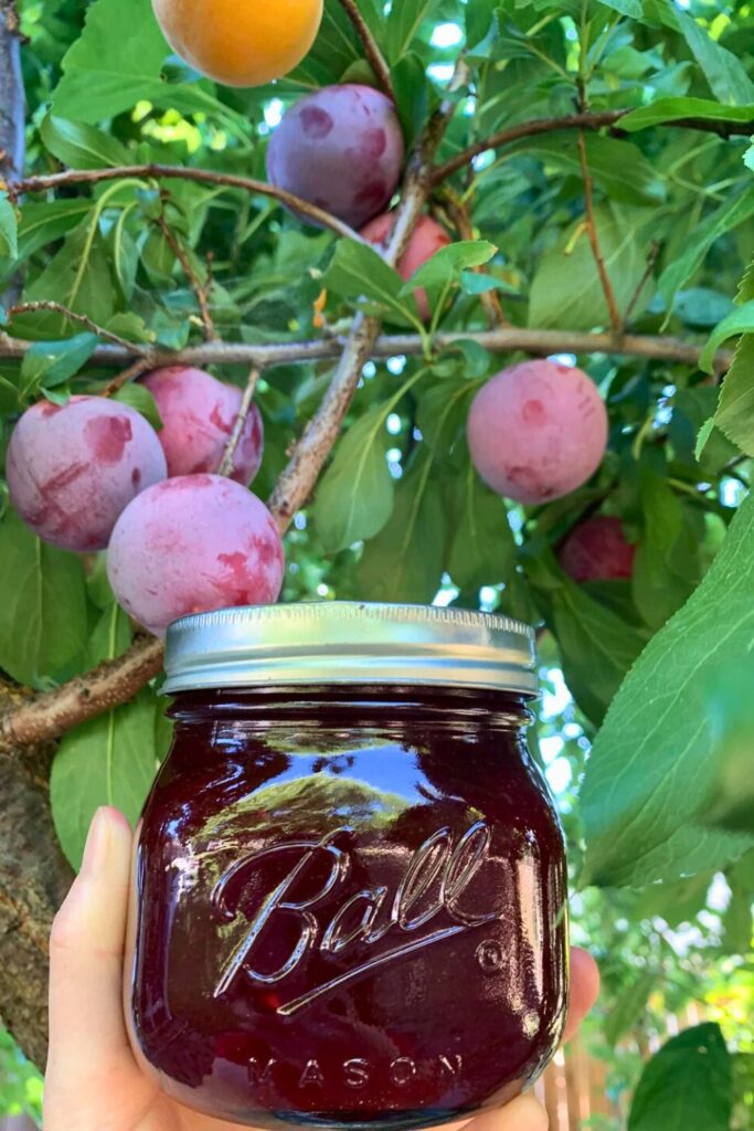 Peach Jam Ingredients