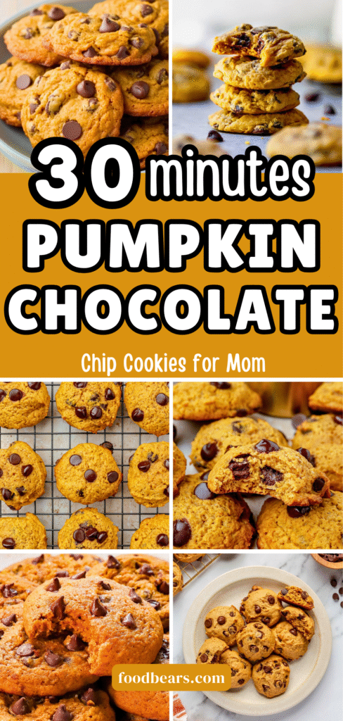 30-Min Pumpkin Chocolate Chip Cookies for Mom
