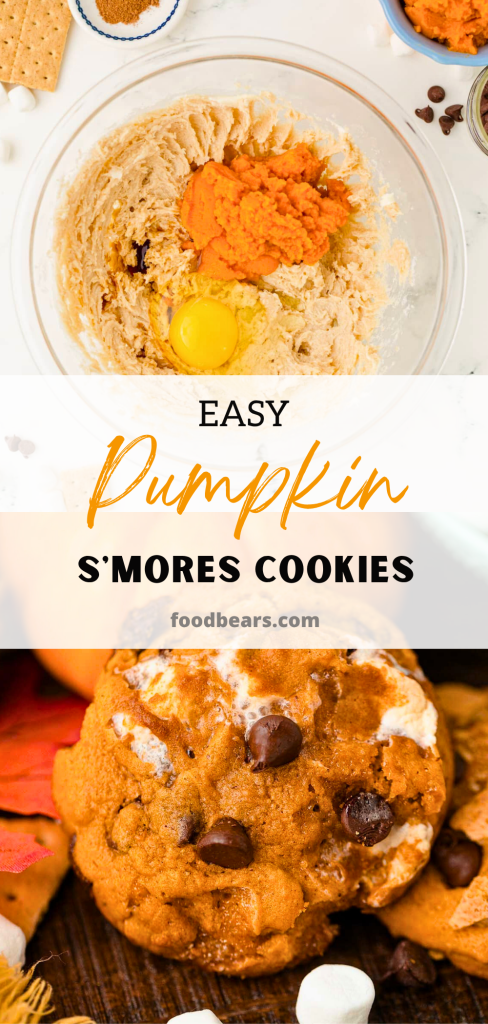 Easy Pumpkin S'mores Cookies in Just 20 Minutes