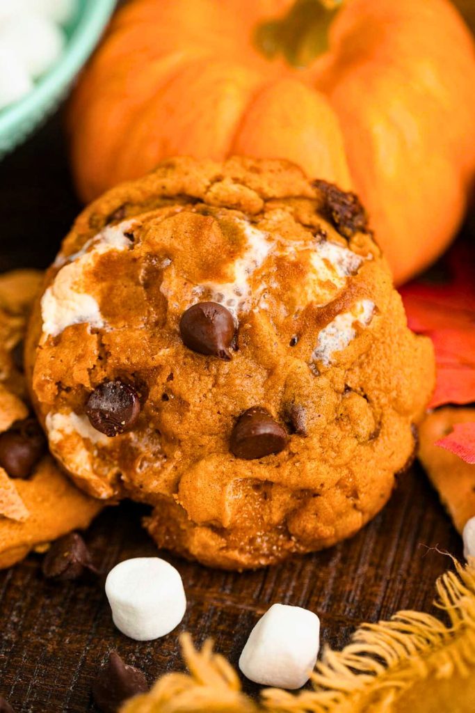What Makes Pumpkin S’mores Cookies Special