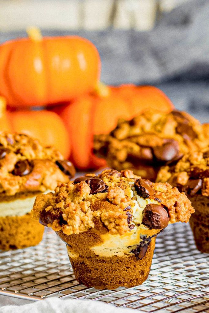 Pumpkin Chocolate Chip Muffins Variations to Try