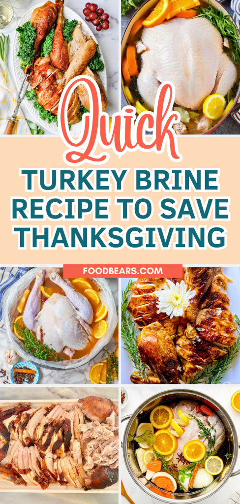 Quick Turkey Brine Recipe to Save Thanksgiving