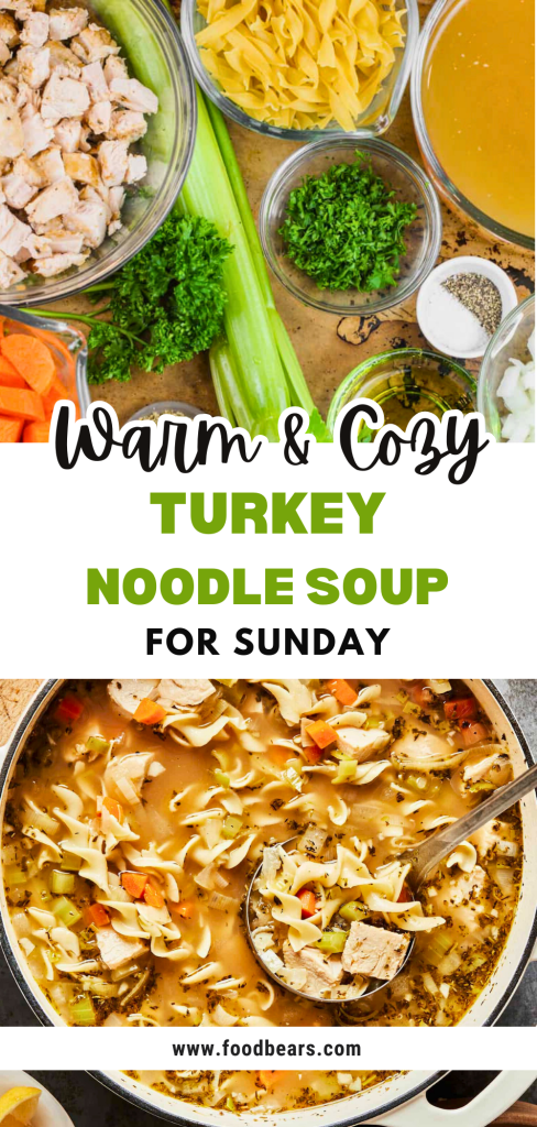 Homemade Turkey Noodle Soup