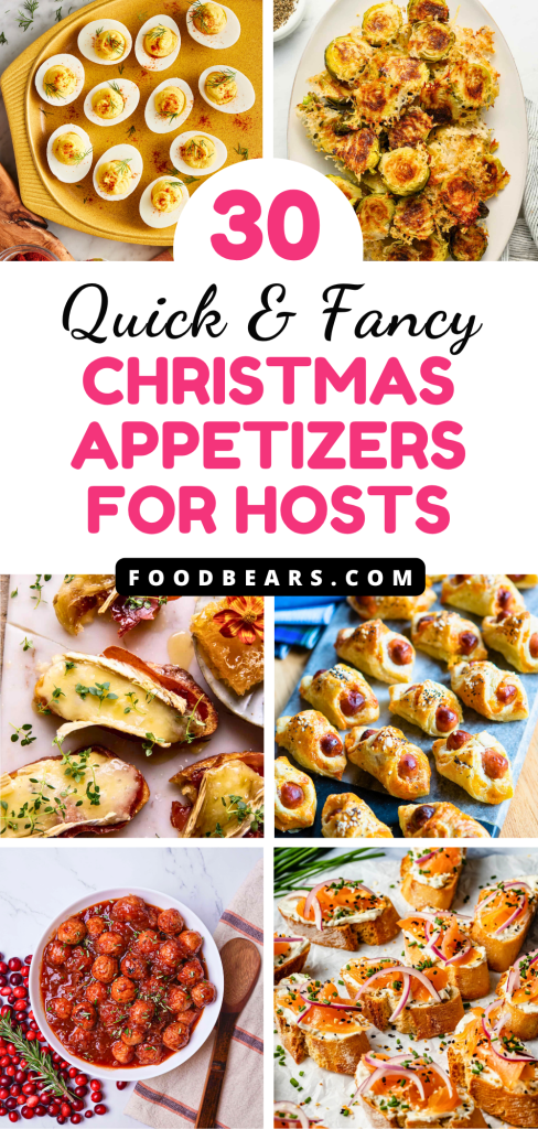 30 Quick & Fancy Christmas Appetizers for Hosts